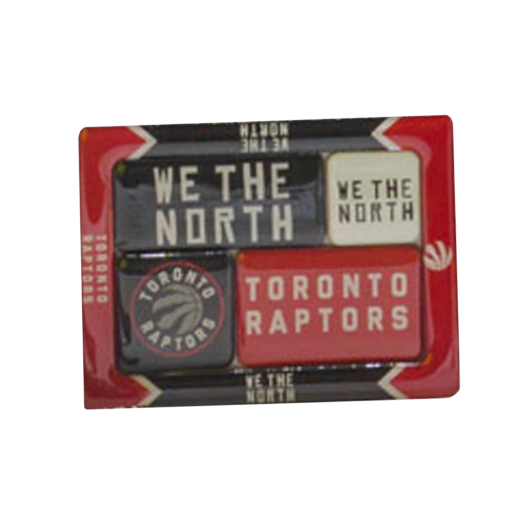 Toronto Raptors Frame Magnets